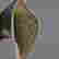 item-133923982=8