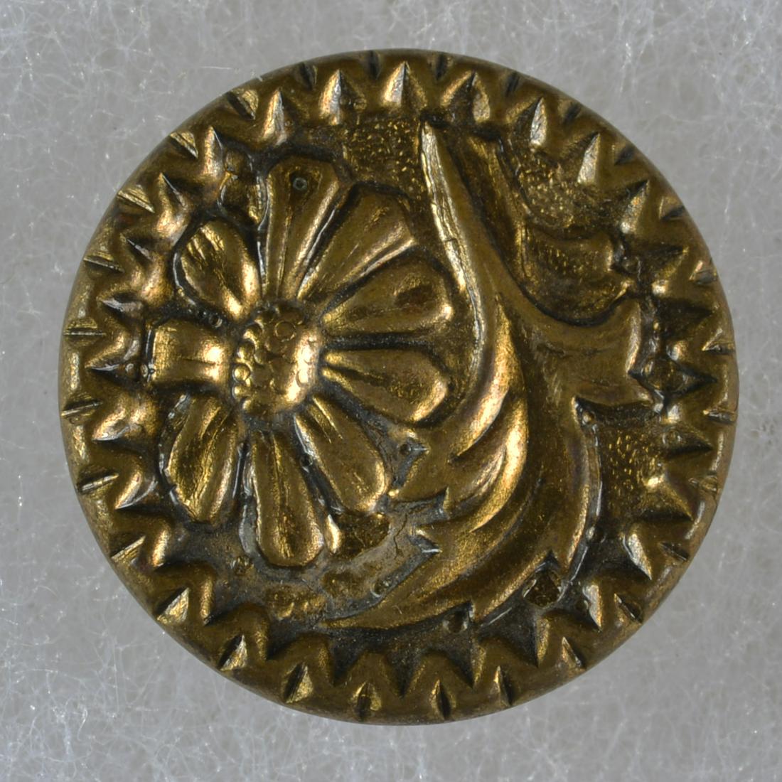 DIVISION 1 BRASS BUTTON (1 of 3)