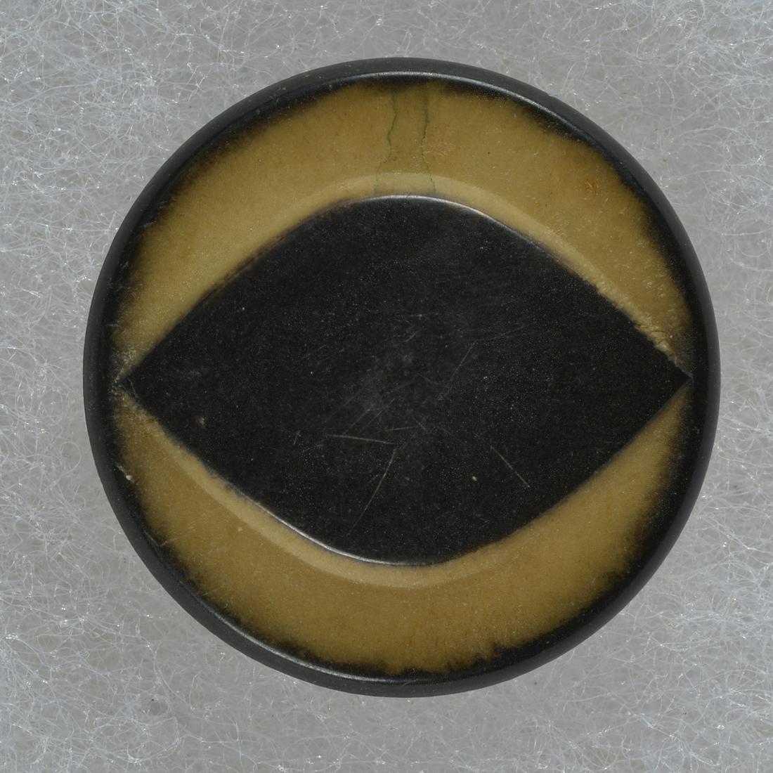 DIVISION 3 CELLULOID BUTTON (1 of 2)