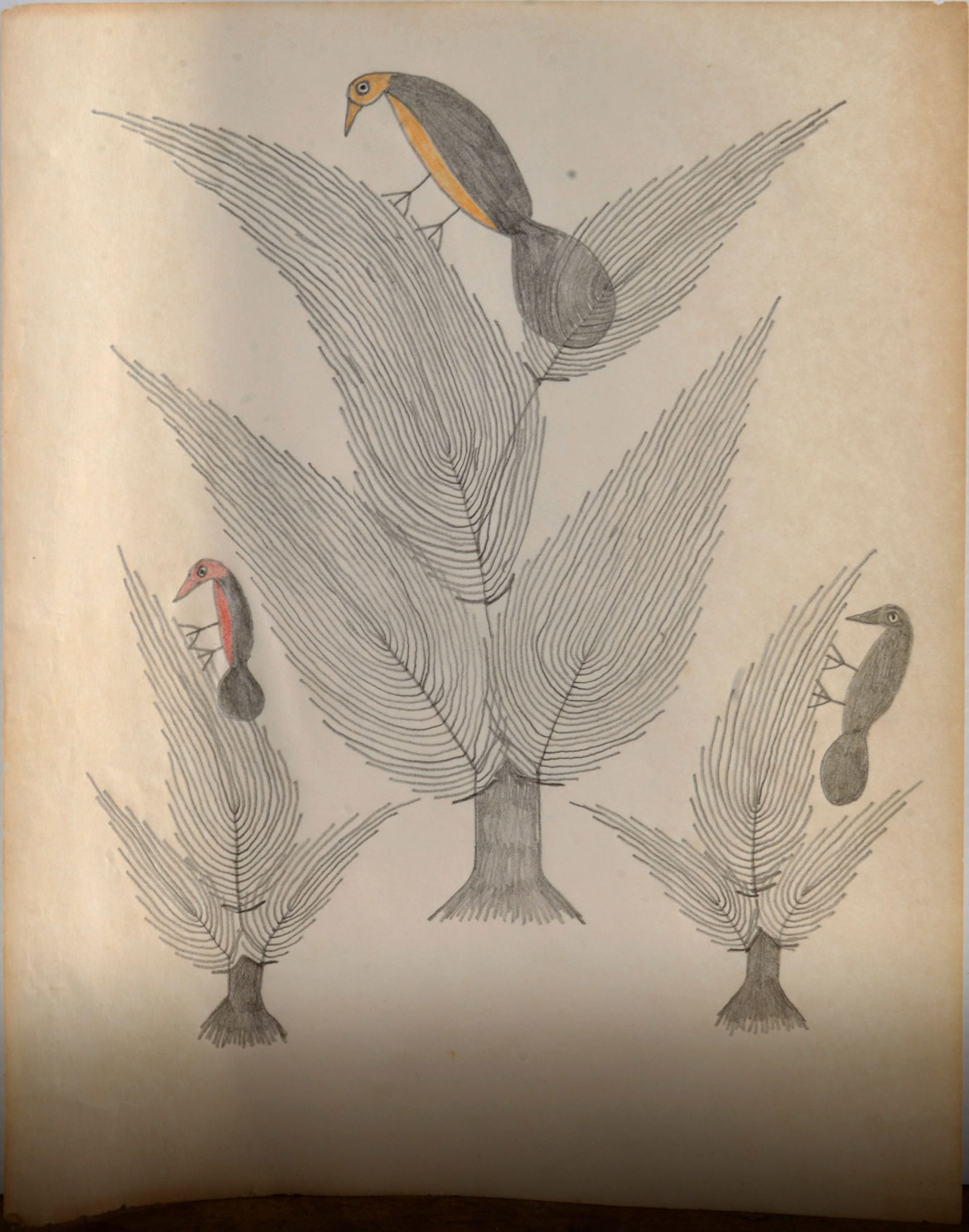 Sarah Perkins (1916 - 2002) (1 of 1)