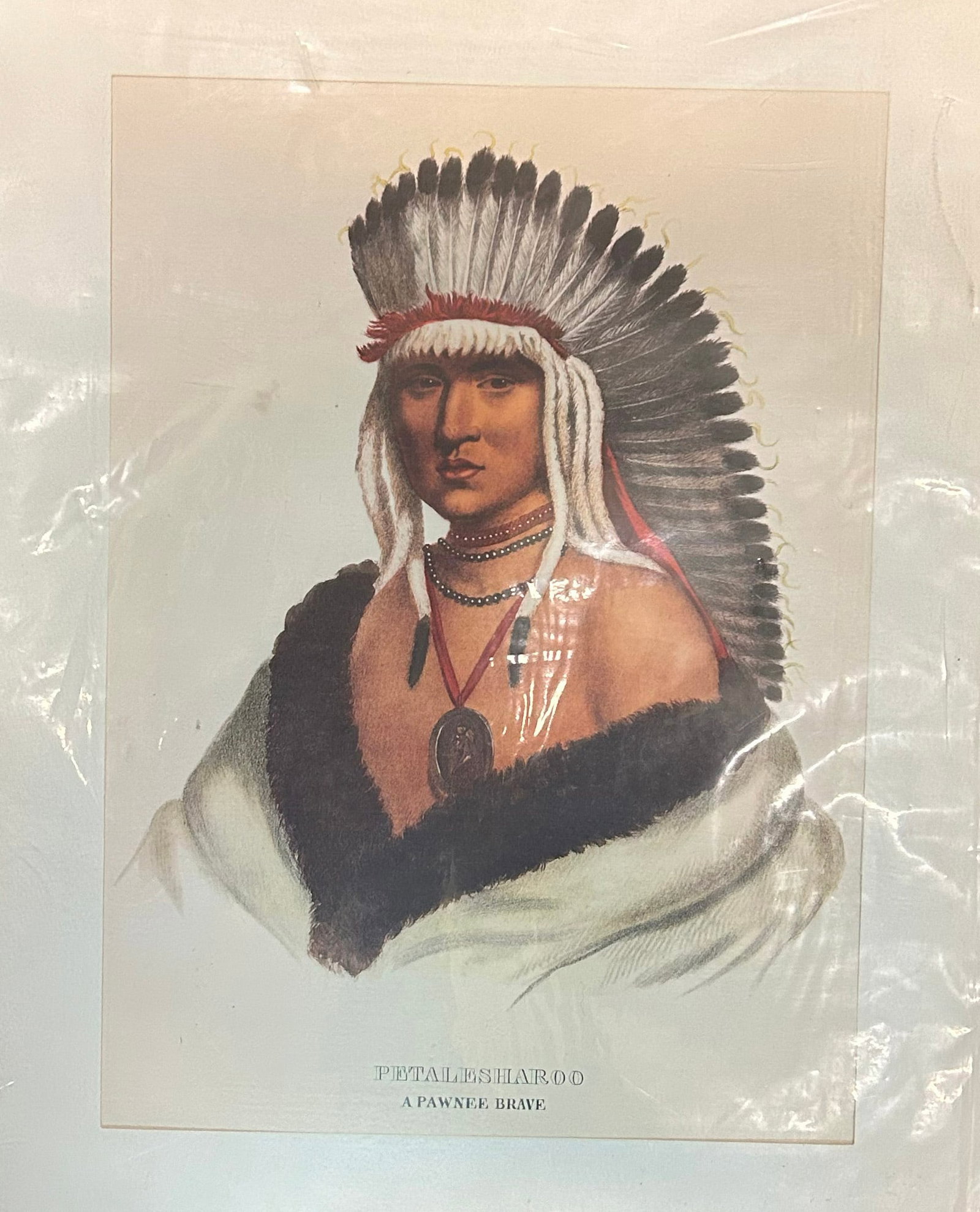 American Indian Pring: see photos for details. If the pottery has deffects we will announce in the listing. All items are sold as is where is no returns or refunds. Most of these items can be shipped in house. If Shipping I