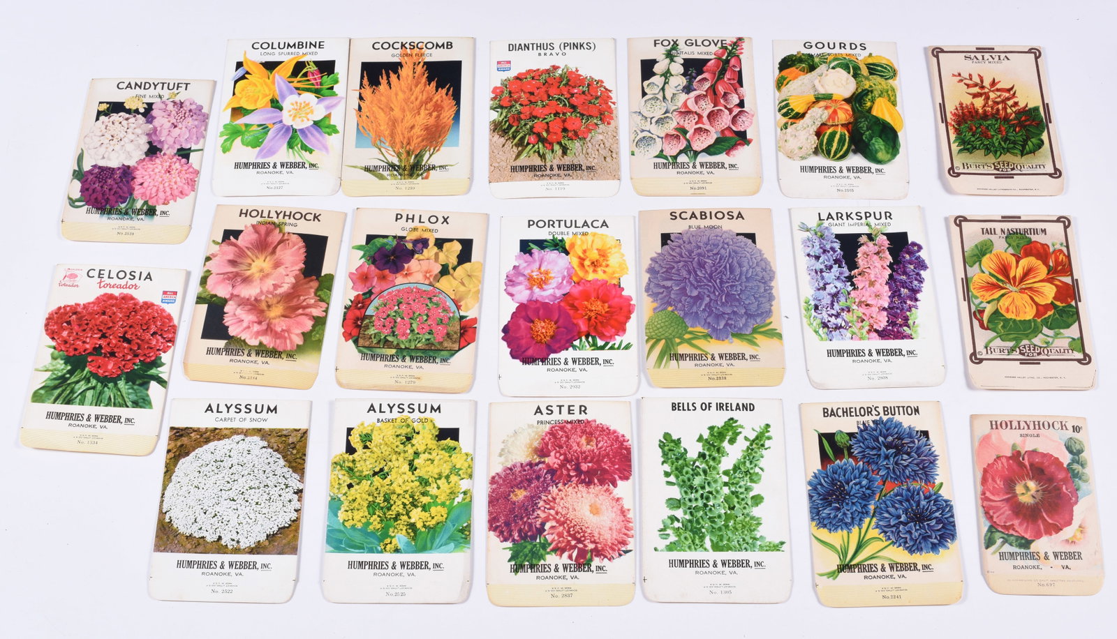VARIOUS NOS FLOWER SEED PACKETS - NO SEEDS: all items are sold as is. We will combine shipping on multiple lots. If you see it in the picture that’s what your buying. Look at the pictures good no refunds all sales are final.