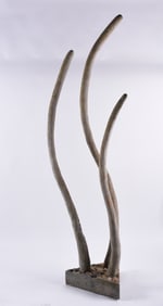 Ed Shewmake Collection