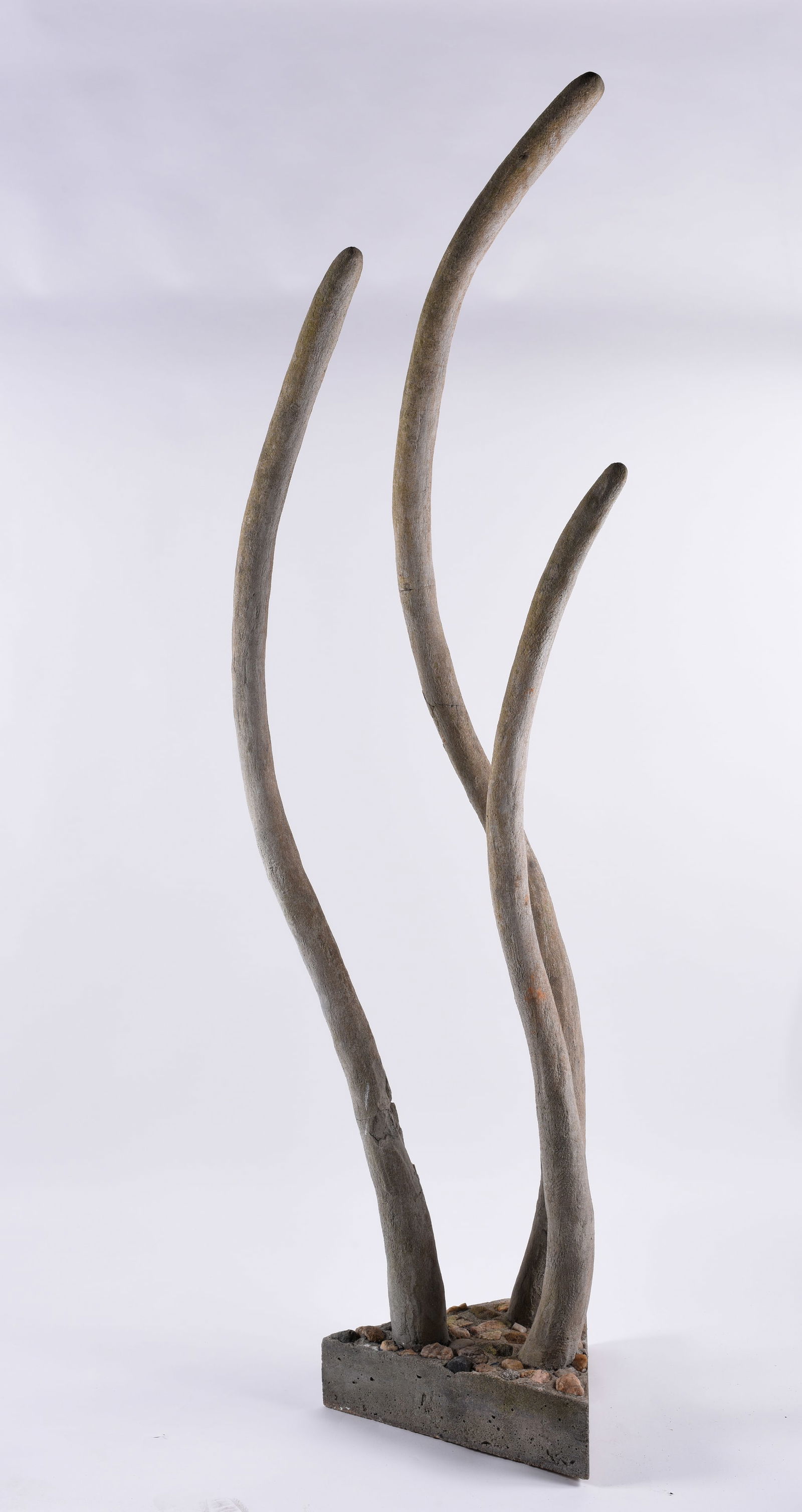 Ed Shewmake Collection (1 of 2)