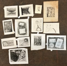 Ed and Mitzi Shewmake Collection of Art