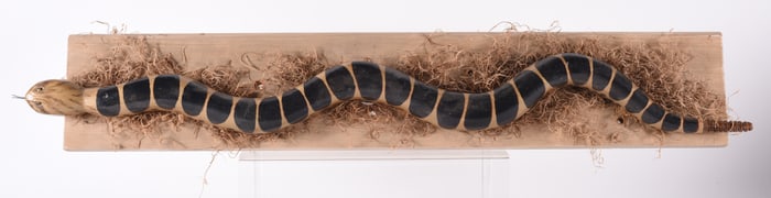 Wooden Carved and Painted Snake