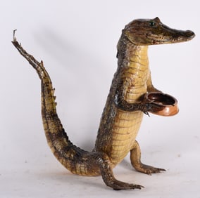 Stuffed Alligator