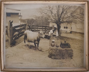 ca. 1930 Silvertone Print of Cow and Royal Crown