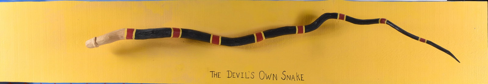 Folk Carved Snake Cane with Penis: 60" x 10" artist mounted to natural wood board, paint. Signed on side of board. Robert ****