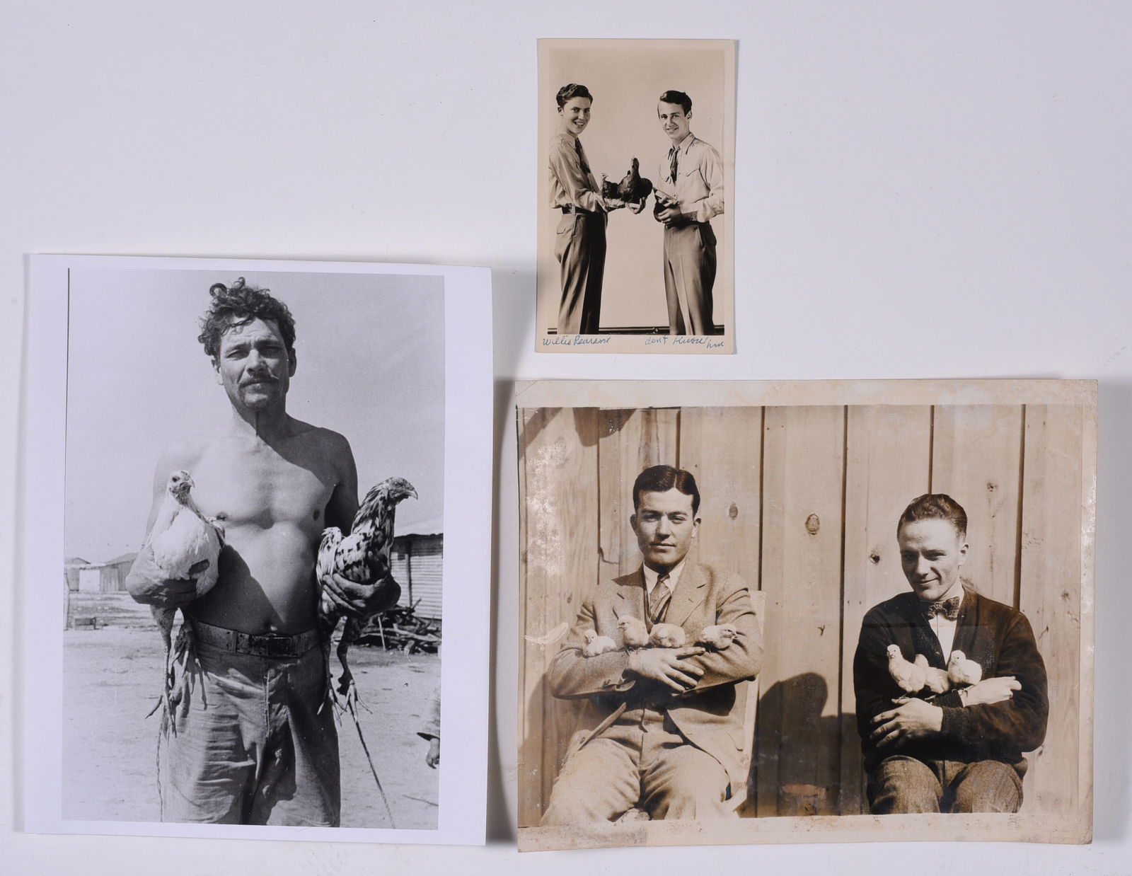 Vintage Original Photos of Rooster Chickens (1 of 2)