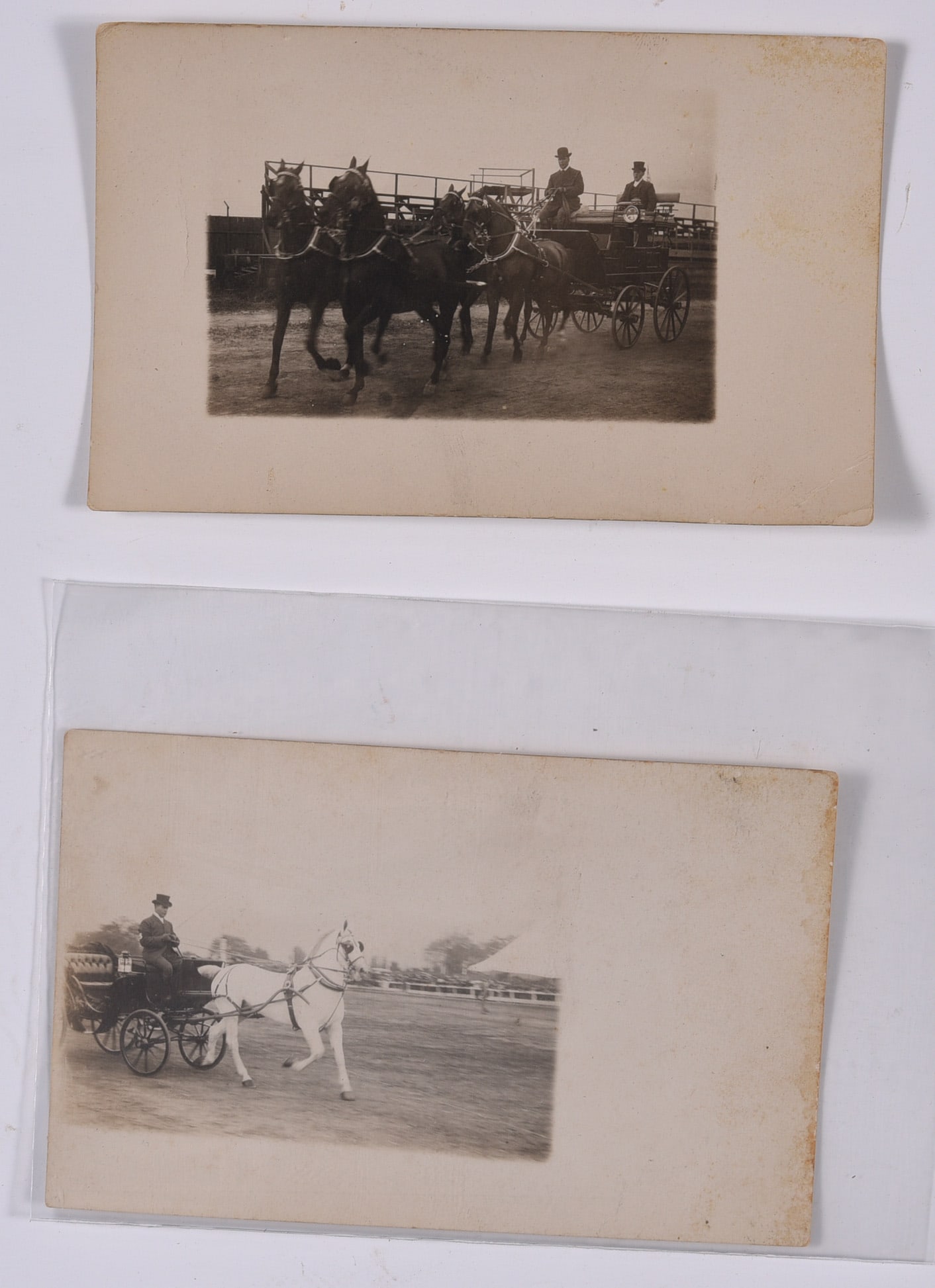 Vintage Photographs of Working Horses: 3.5'' x 5.5'' postcards original photos see photo for details.