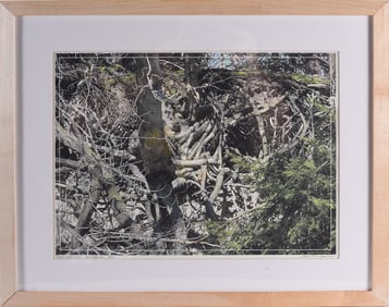 Gene Kangas (American b. 1944) Signed Print