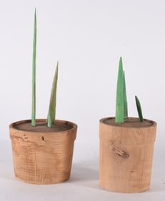 Gene Kangas (b. 1944)  Wood Sculpture