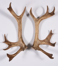 Gene Kangas Sculpture