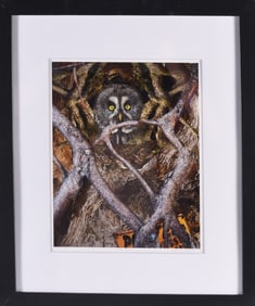 Gene Kangas (American b. 1944) Pencil Signed Print