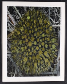 Gene Kangas (American b. 1944) Pencil Signed Print