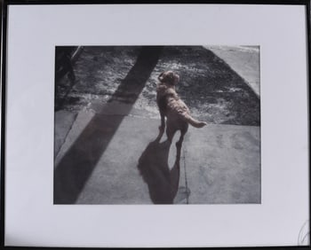 Gene Kangas (American b. 1944) Pencil Signed Print