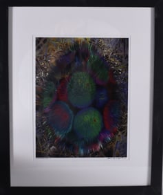 Gene Kangas (American b. 1944) Pencil Signed Print