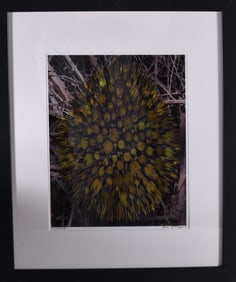 Gene Kangas (American b. 1944) Pencil Signed Print