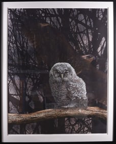 Gene Kangas (American b. 1944) Print 48" x 62"