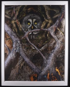 Gene Kangas (American b. 1944) Print 48" x 62"