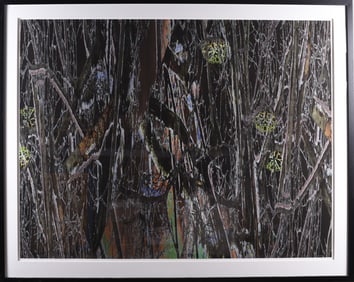 Gene Kangas (American b. 1944) Print 48" x 62"