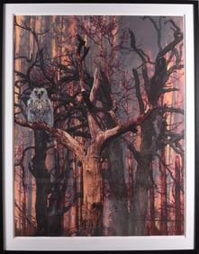 Gene Kangas (American b. 1944) Print 48" x 62"