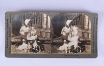 Stereoview Collection Antique Steroview Card