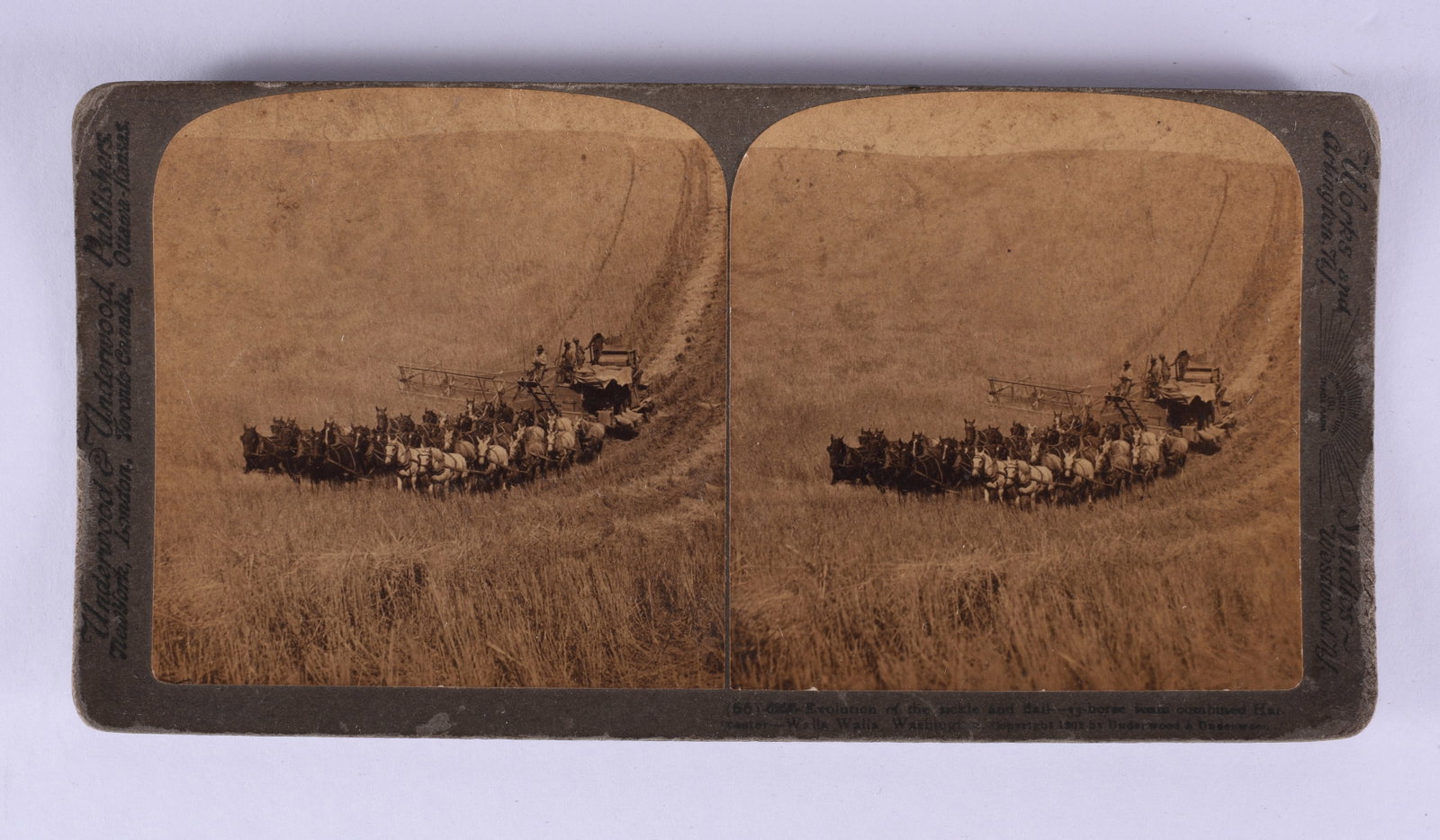 Stereoview Collection Antique Steroview Card: from a large collection of stereo views. All are from a single owner. Stereoscope view cards.