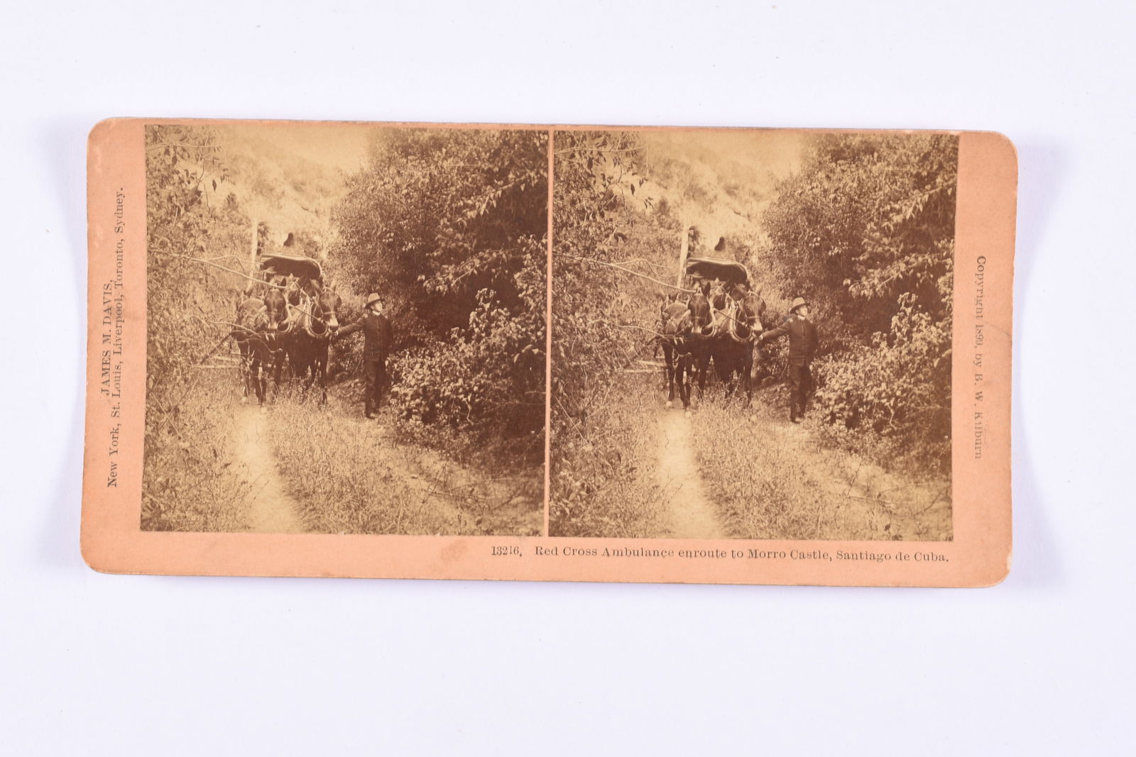 Stereoview Collection Antique Steroview Card (1 of 2)