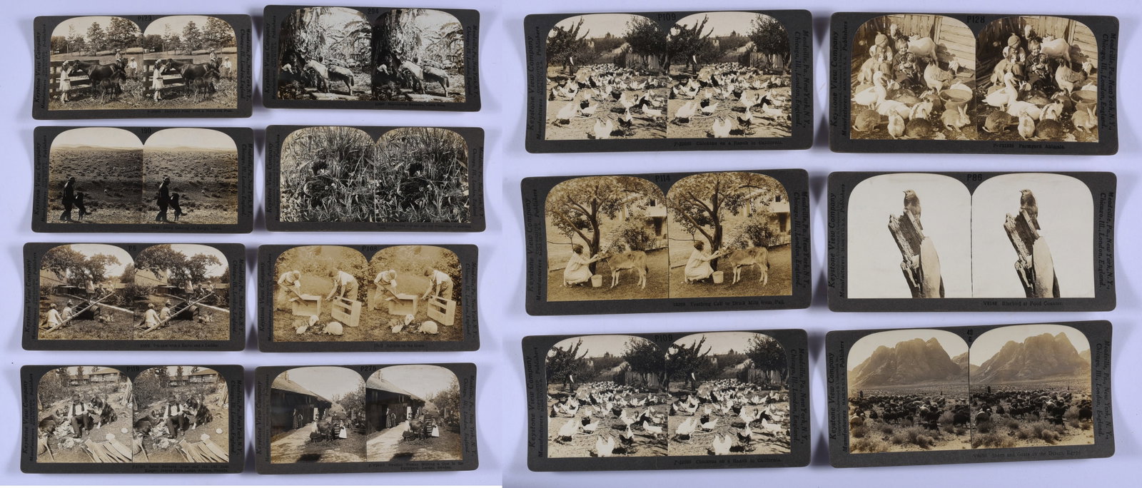 Stereoview Collection Antique Steroview Card: from a large collection of stereo views. All are from a single owner. Stereoscope view cards.