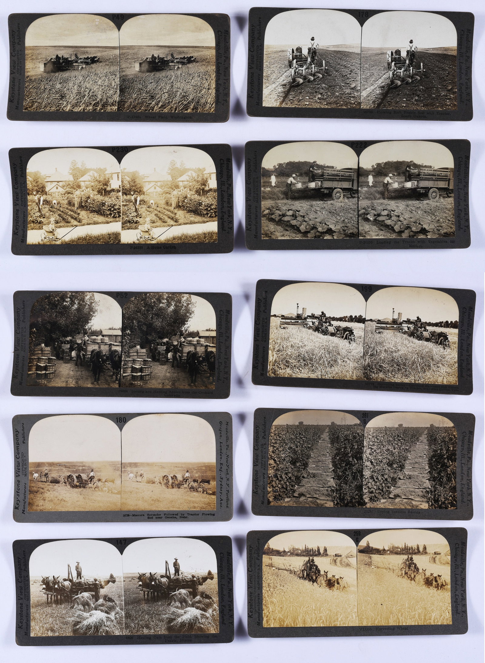 Stereoview Collection Antique Steroview Card: from a large collection of stereo views. All are from a single owner. Stereoscope view cards.