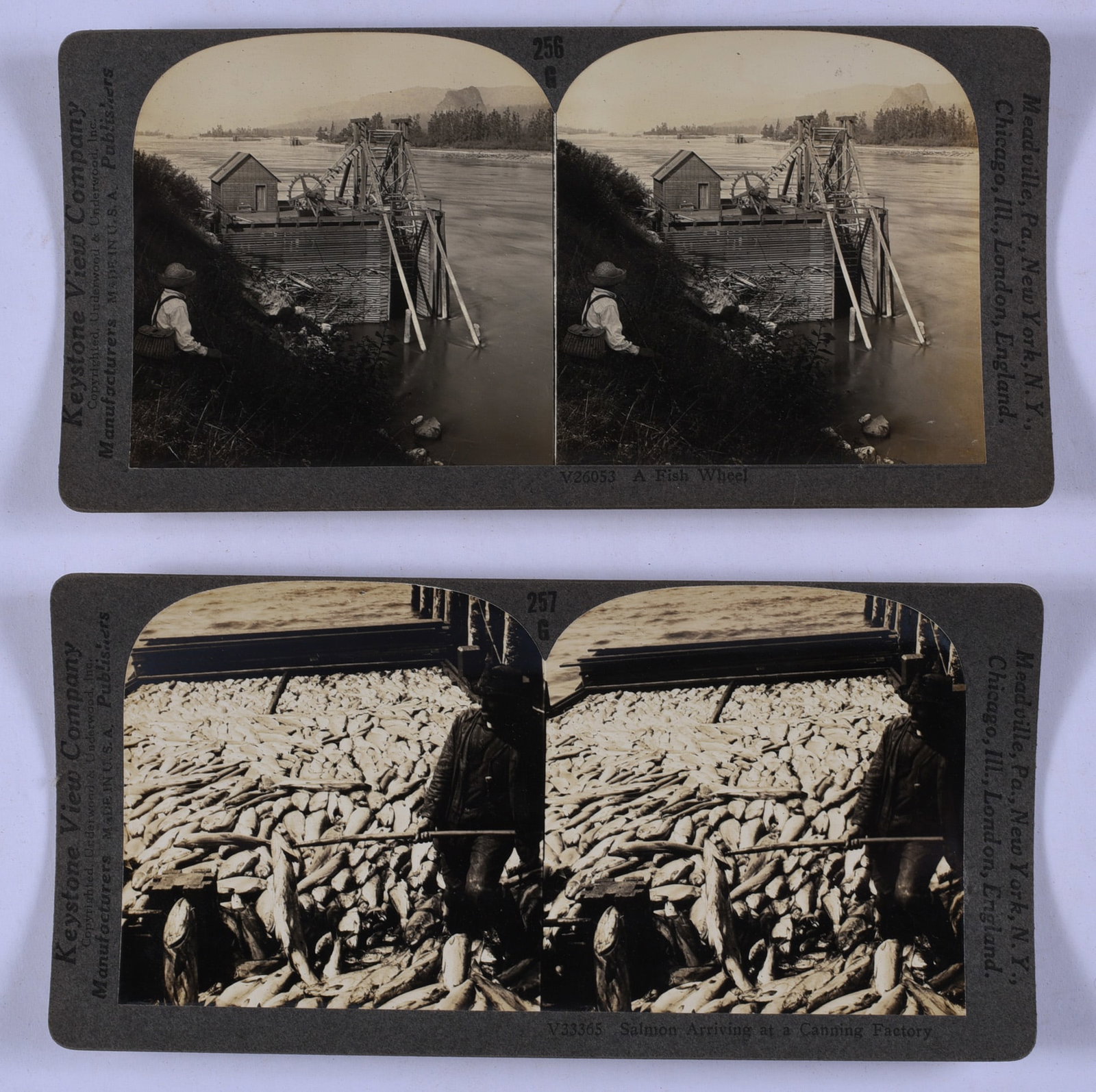 Stereoview Collection Antique Steroview Card: from a large collection of stereo views. All are from a single owner. Stereoscope view cards.