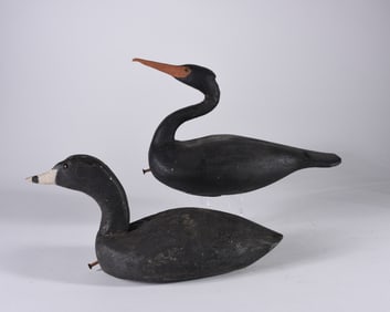 Curtis Waterfield Decoy