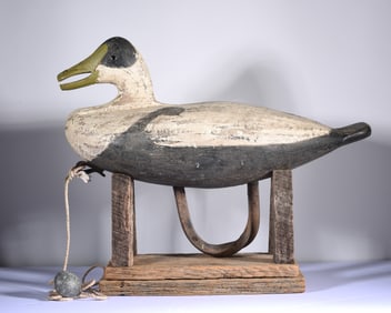 Antique Maine Eider Carved Decoy