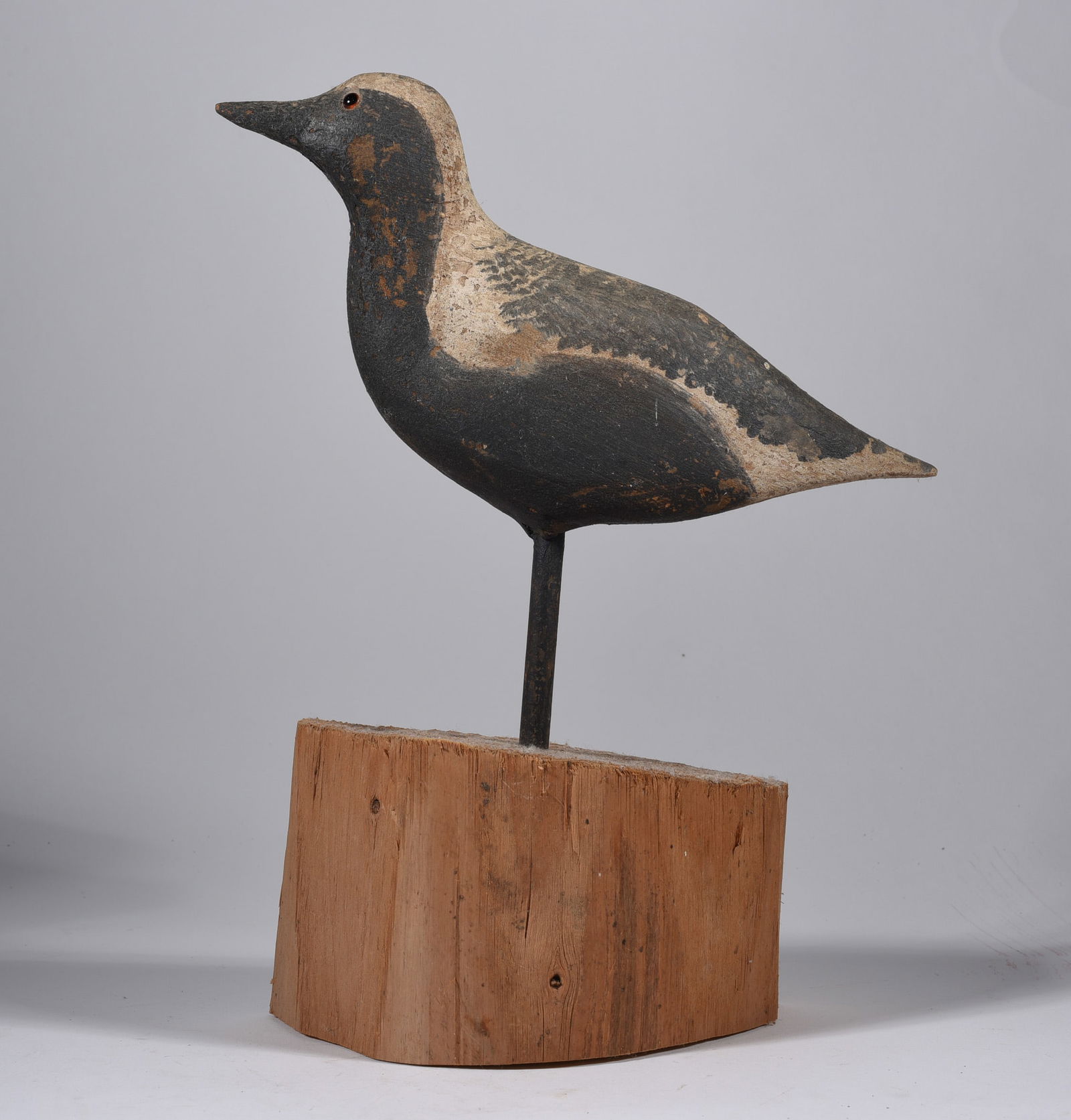 Curtis Waterfield Carved Shorebird (1 of 4)
