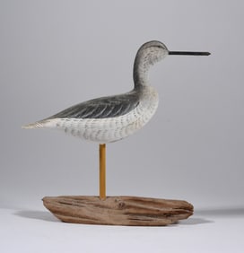 Curtis Waterfield Yellow Leg Shorebird