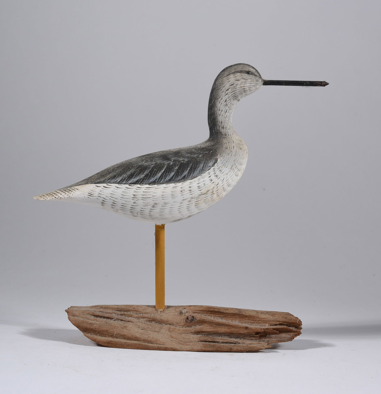 Curtis Waterfield Yellow Leg Shorebird (1 of 4)