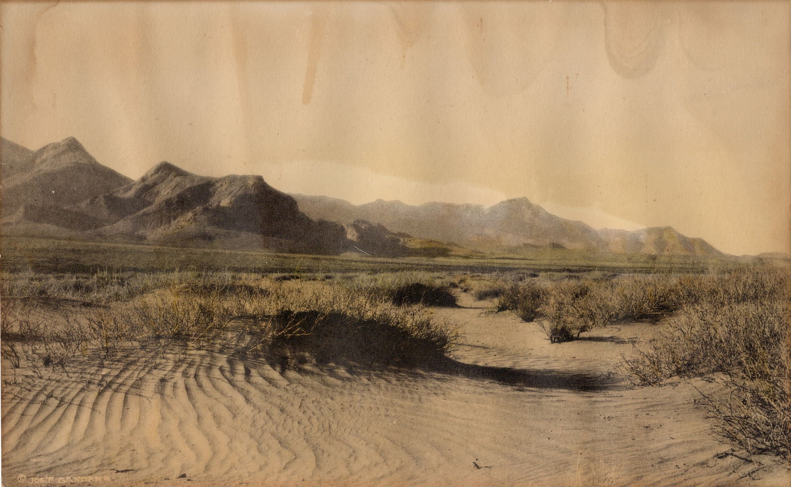 Joseph Gandara Texas Photograph (1 of 1)