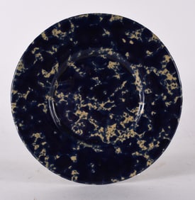 Sponge Decorated Plate