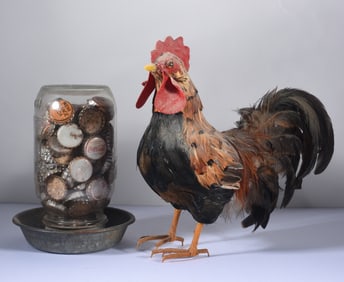Bottle Cap Collection with Chicken Feeder and Rooster