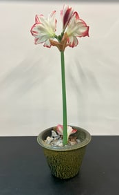 North Carolina Pottery Flower Pot