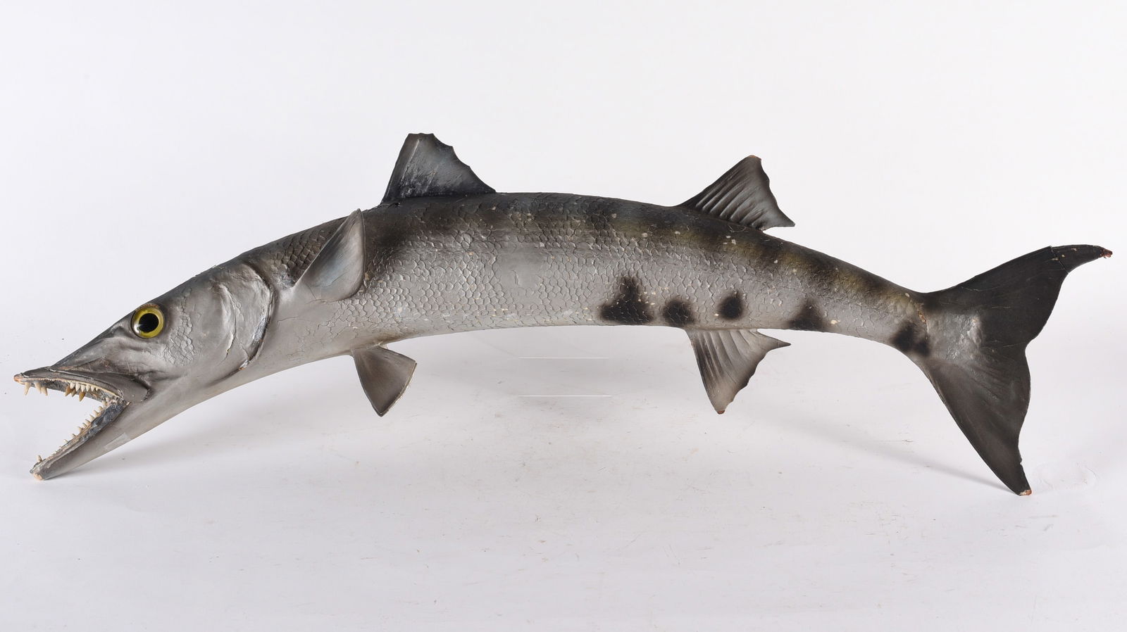 Taxidermy Barracuda ca. 1950 (1 of 3)