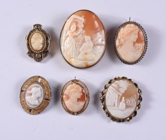 Antique Shell Cameo Brooch Group