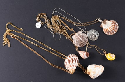 Seashell Necklace Group