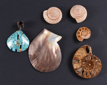 Seashell Group
