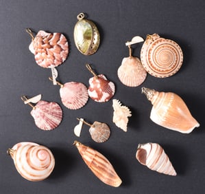 Seashell Necklace Pieces