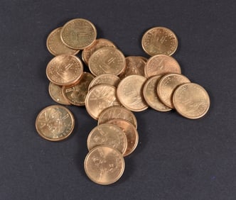 Unsearched Sacagawea Dollar Group