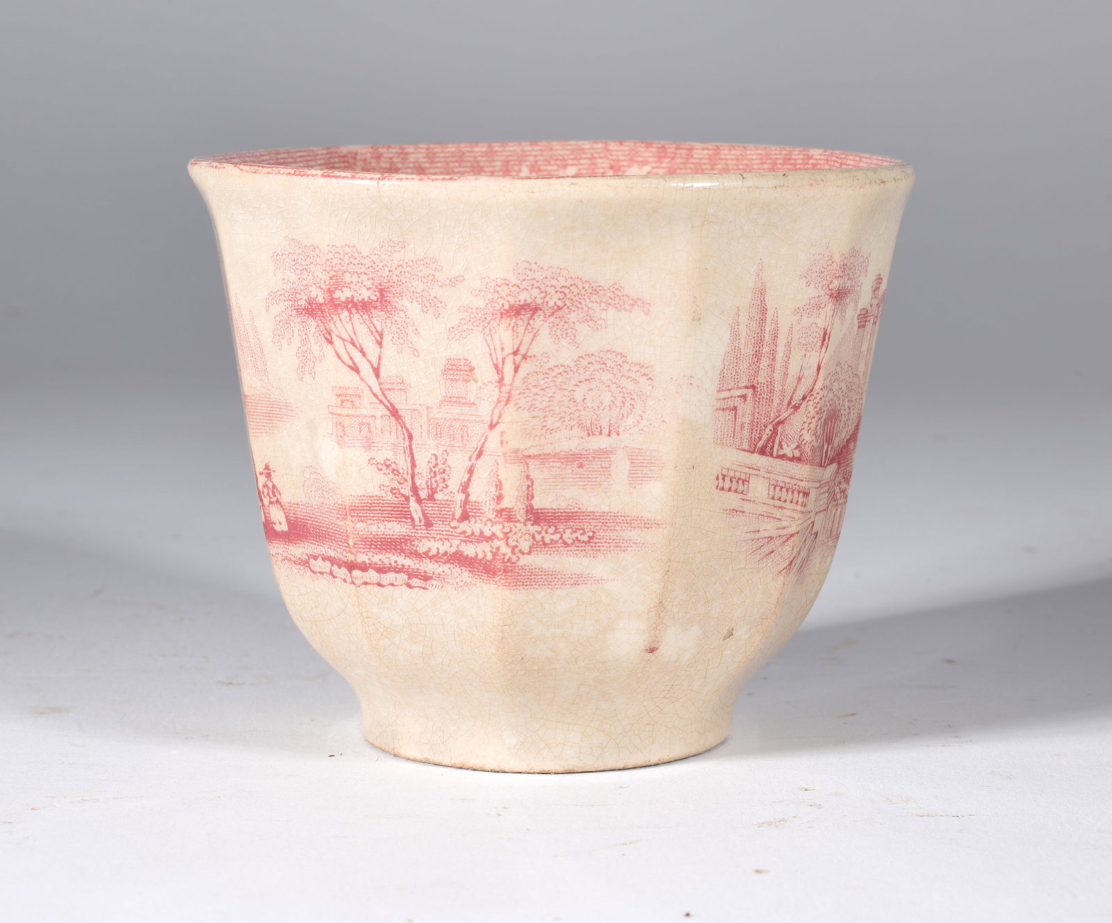 Antique Ironstone Transferware Teacup (1 of 2)