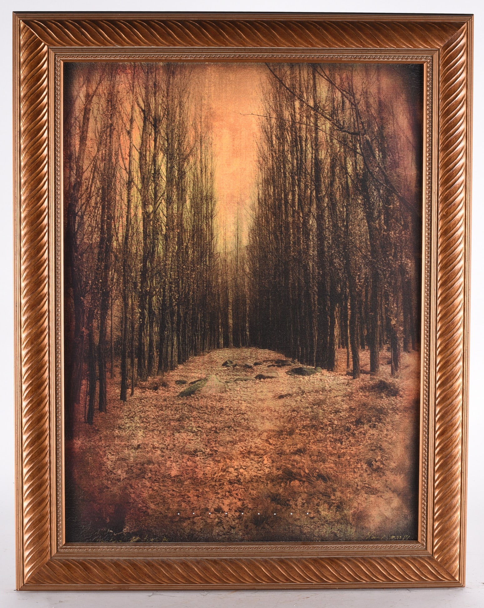 Signed Artwork Framed 23"x29" (1 of 2)